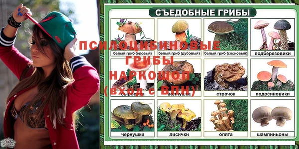 стафф Алексеевка