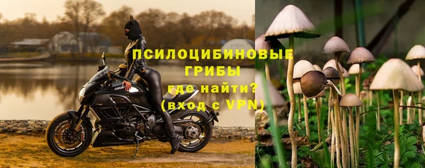 стафф Алексеевка